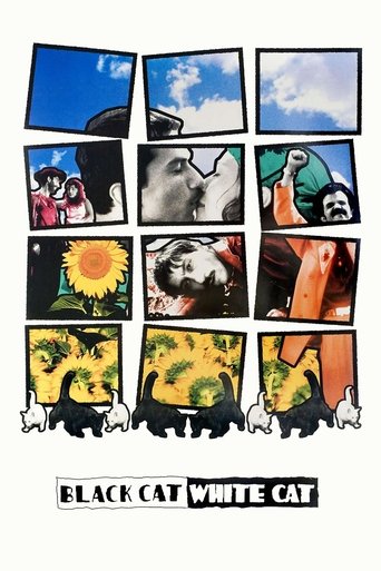 Film: Svart katt, vit katt