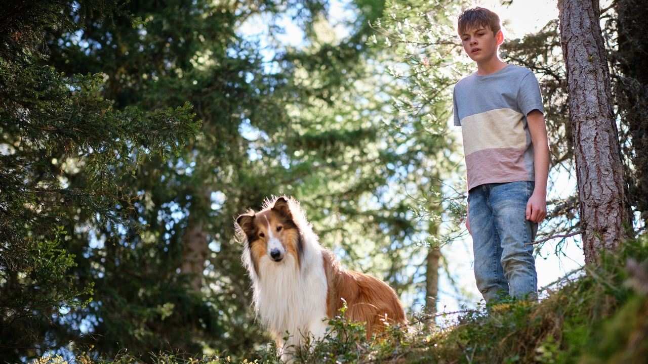 TV4 Hits - Lassie – ett nytt äventyr