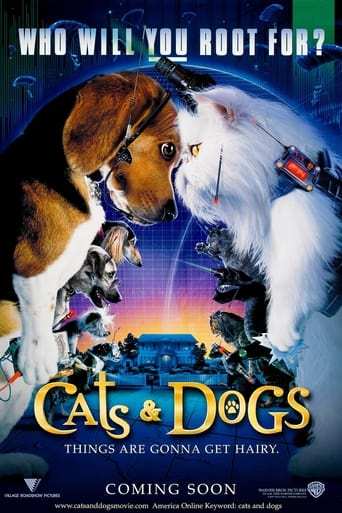 Film: Som hund och katt