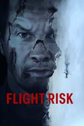 Filmomslag Flight Risk