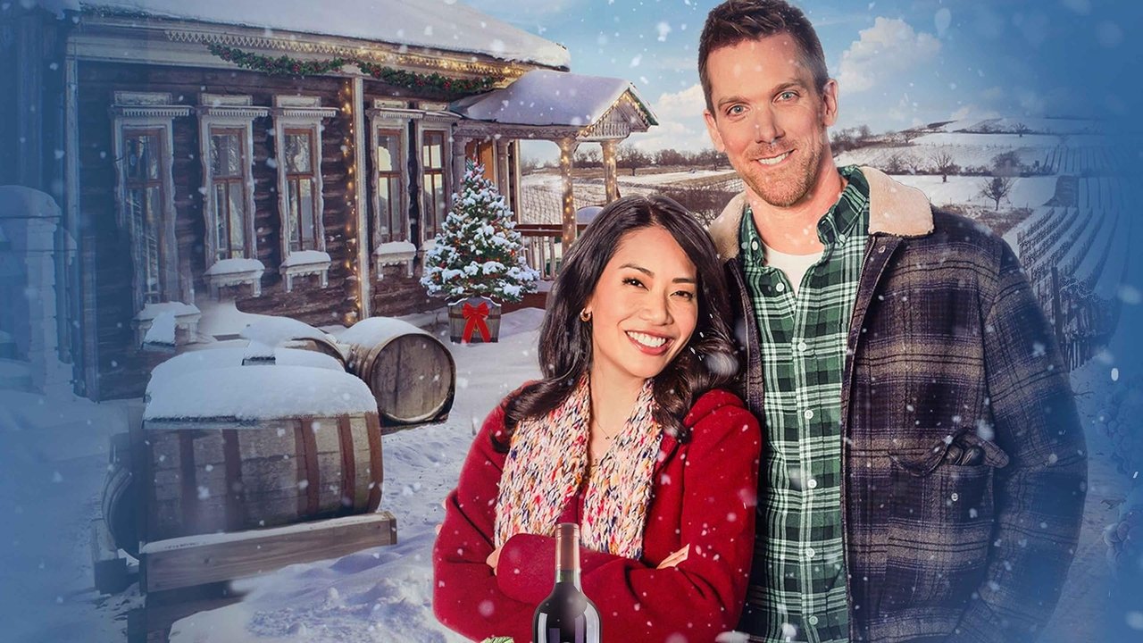 V Film Hits HD - A vineyard Christmas
