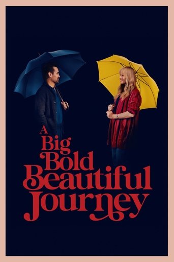 Filmomslag A Big Bold Beautiful Journey