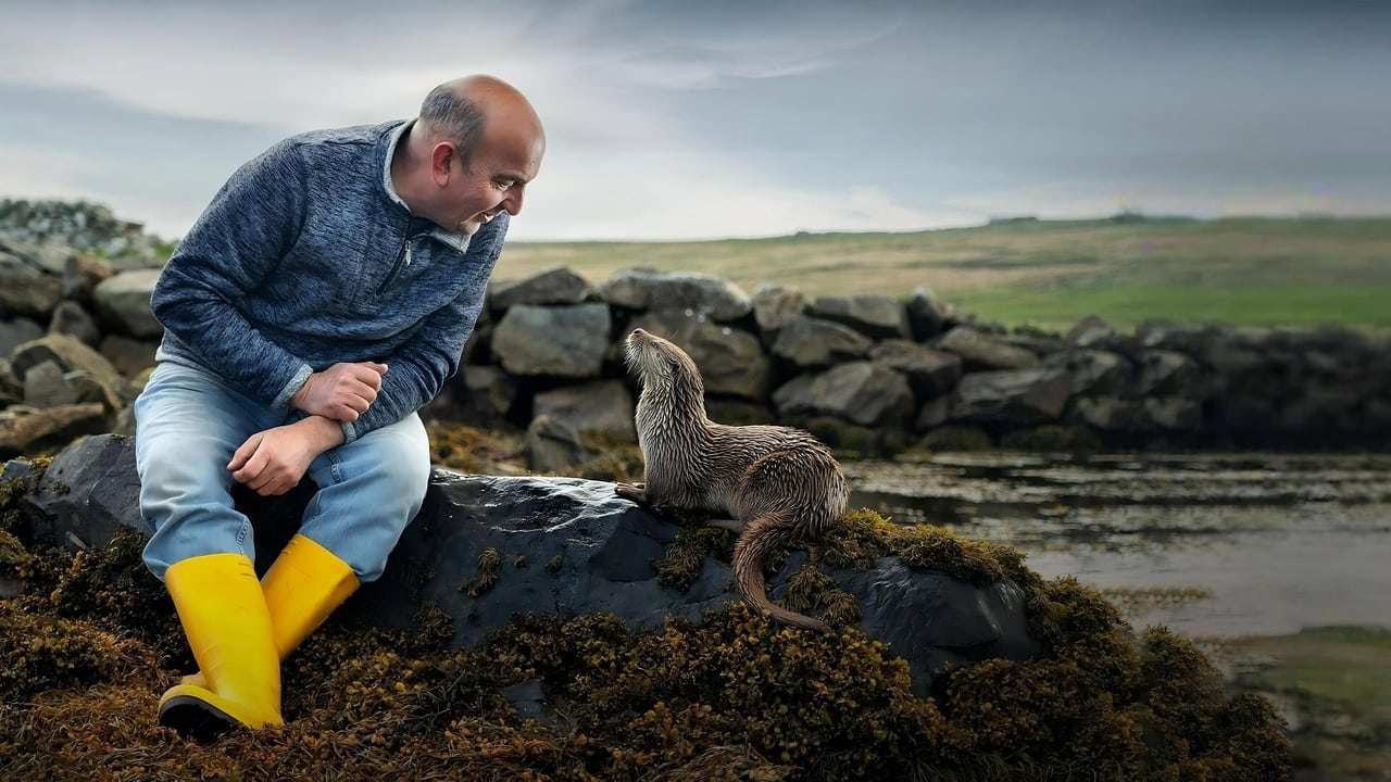 National Geographic - Billy & Molly: An Otter Love Story