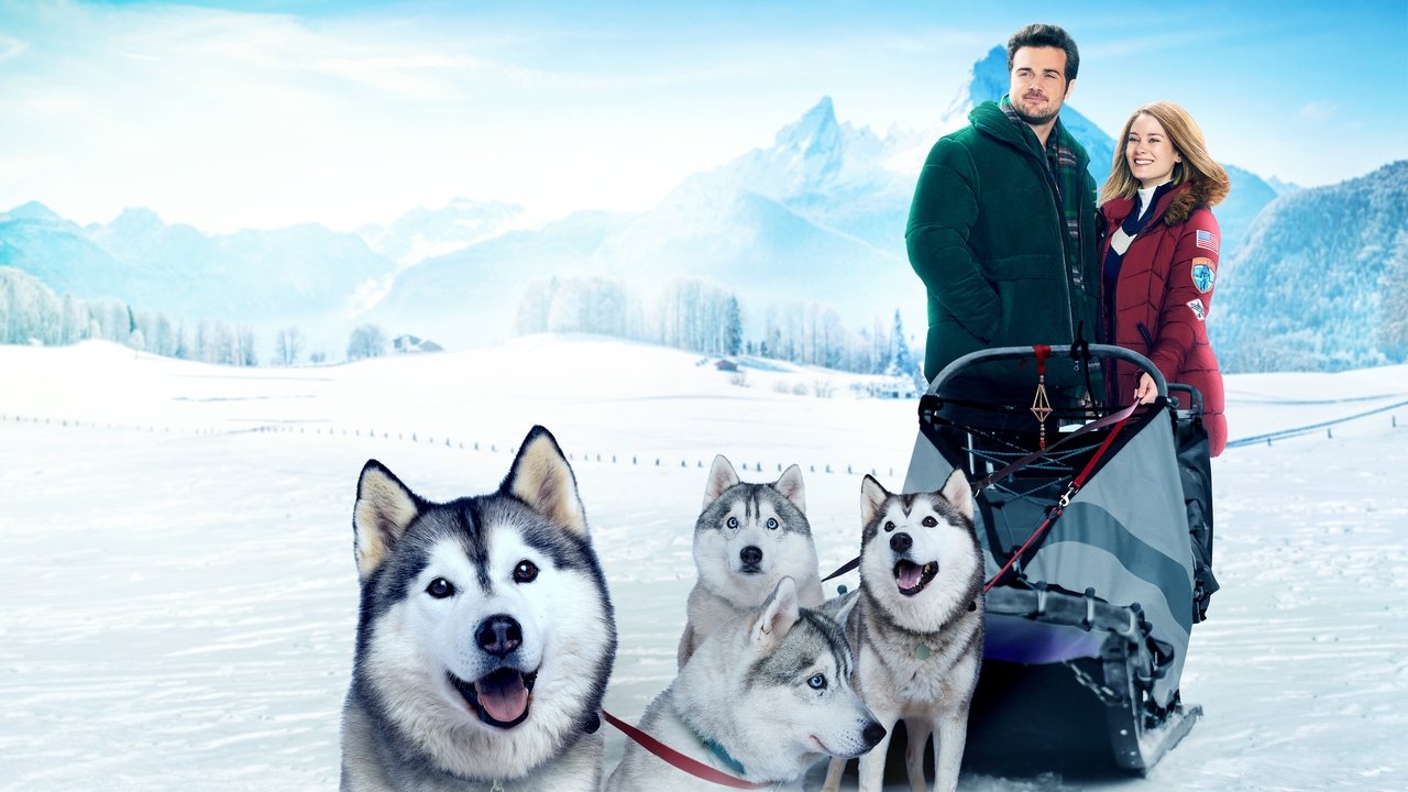 TV 11 - The Finnish line