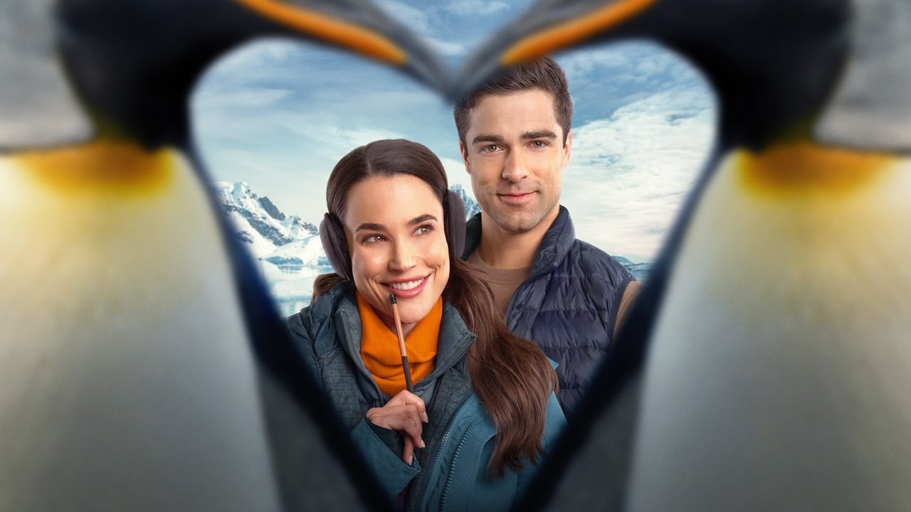 V Film Hits HD - Polar opposites