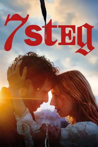 Film: 7 steg