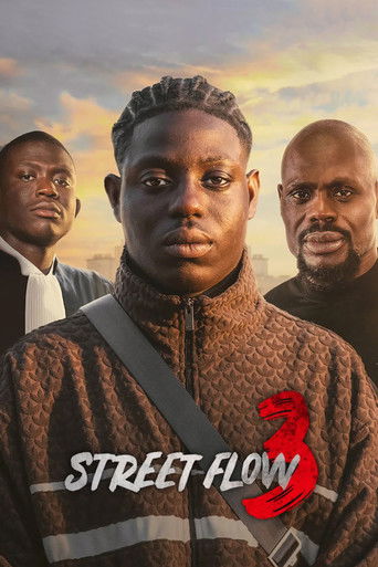 Film: Förortsbröder 3