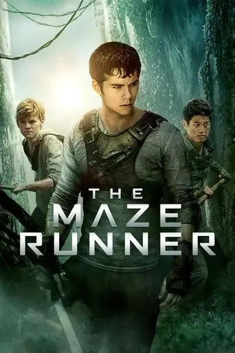 Bild från filmen The maze runner