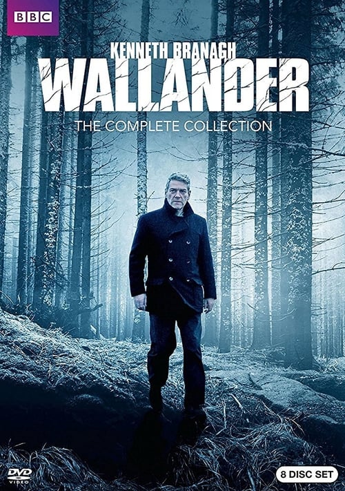 Film: Wallander: The White Lioness