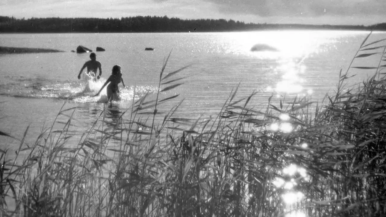 SVT1 - Hon dansade en sommar