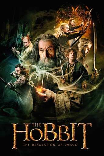 Filmomslag The Hobbit: The Desolation of Smaug