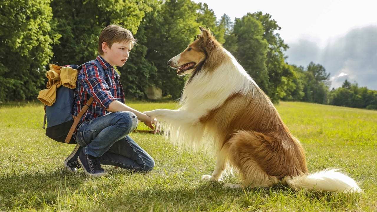 Lassie kommer hem