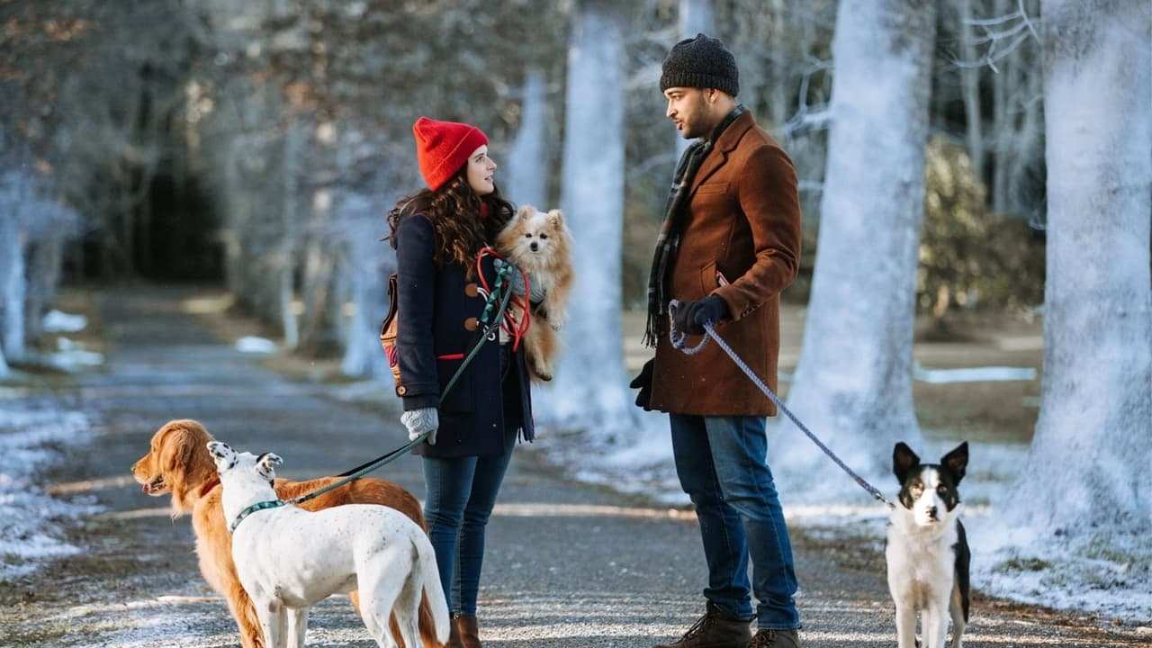 Puppy Love For Christmas