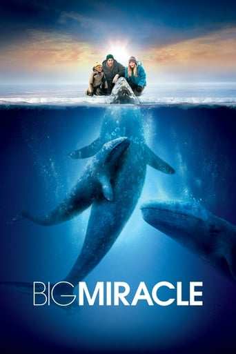 Film: Big Miracle