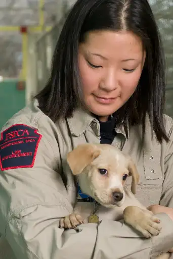 Bild från filmen Animal Cops Philadelphia