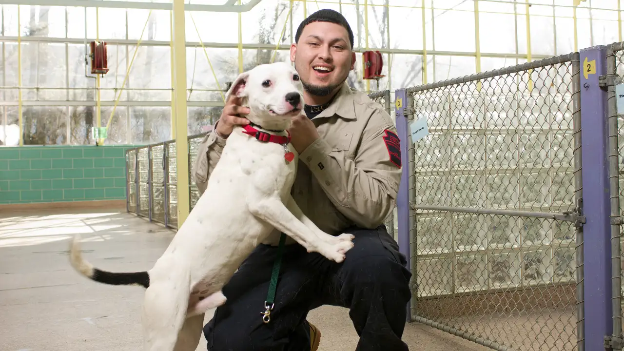 Animal Planet - Animal Cops Philadelphia