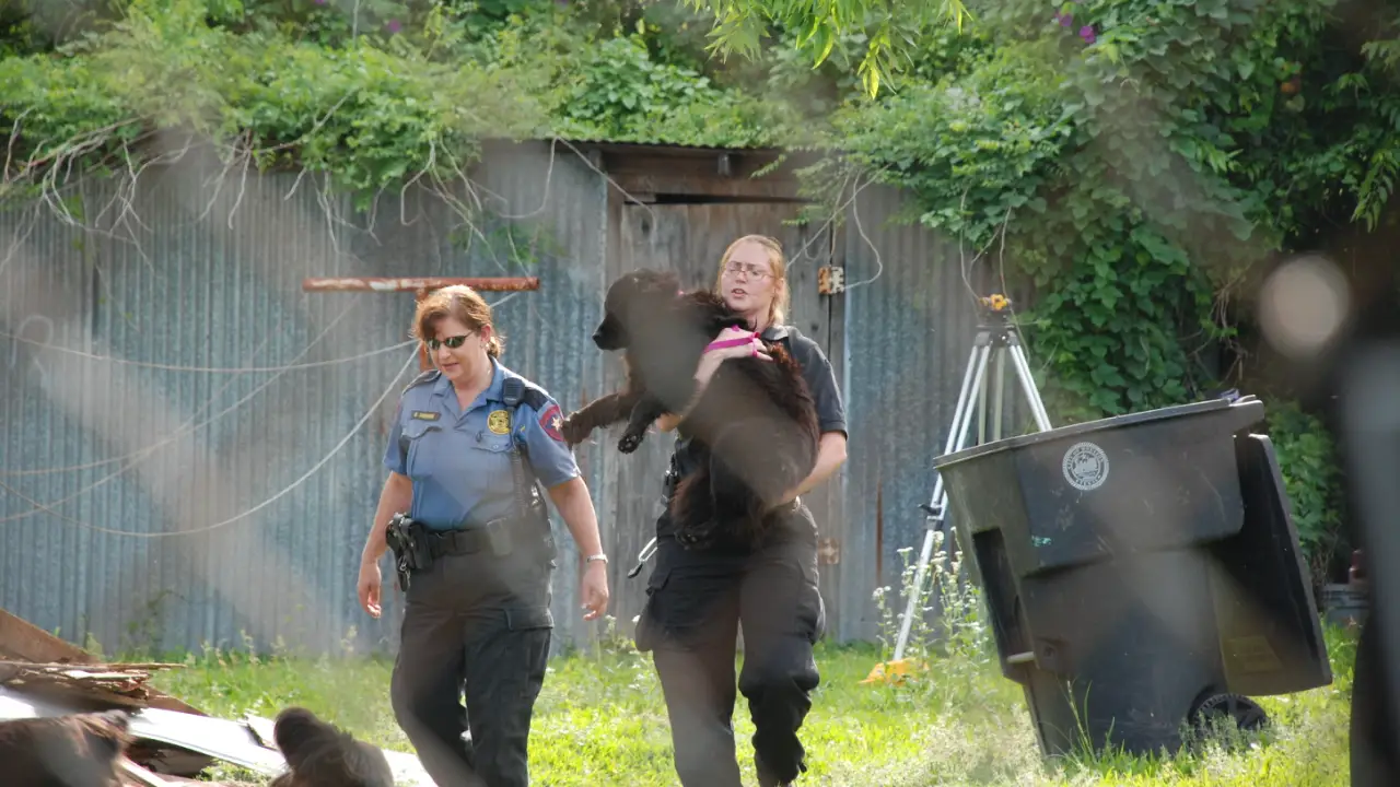 Animal Planet - Animal Cops Houston