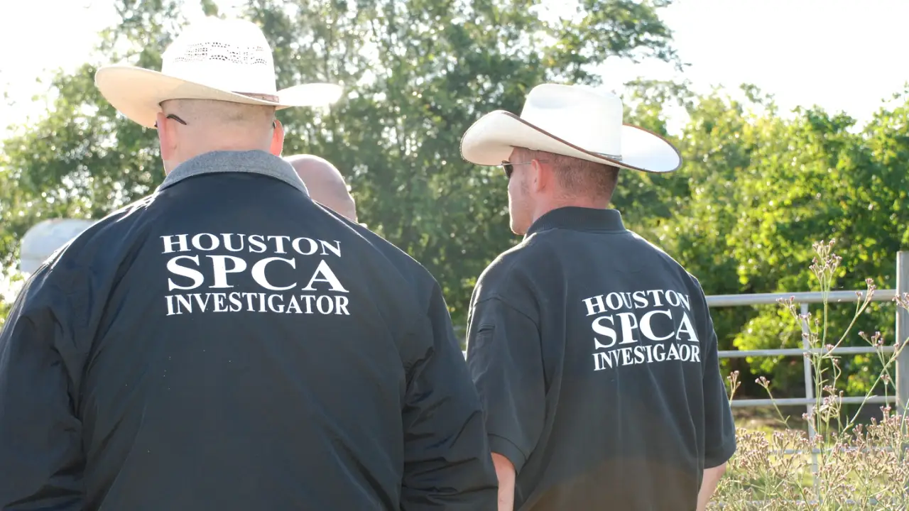 Animal Planet - Animal Cops Houston