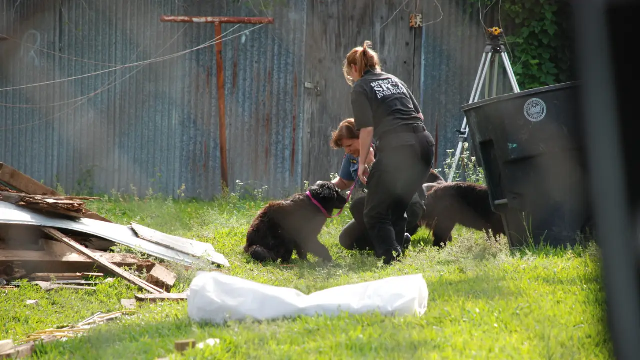 Animal Planet - Animal Cops Houston
