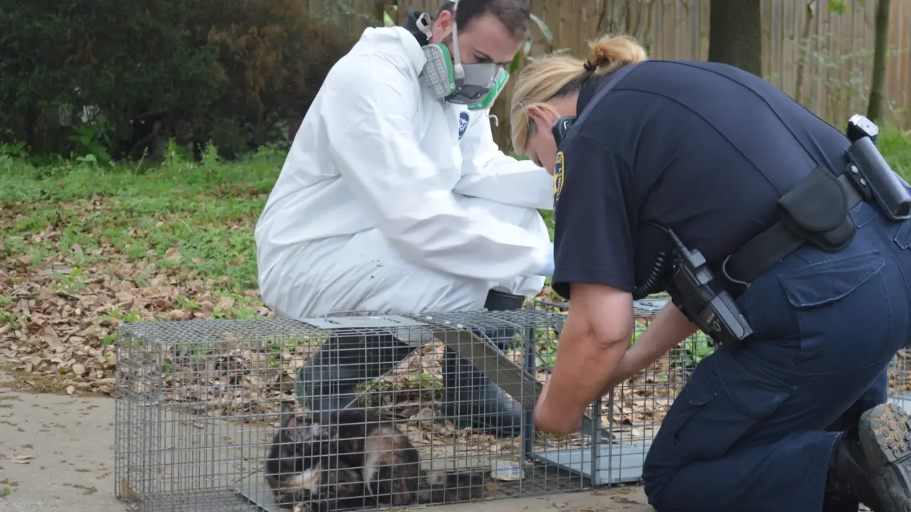Animal Planet - Animal Cops Houston