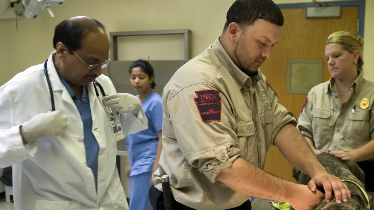 Animal Planet - Animal Cops Philadelphia