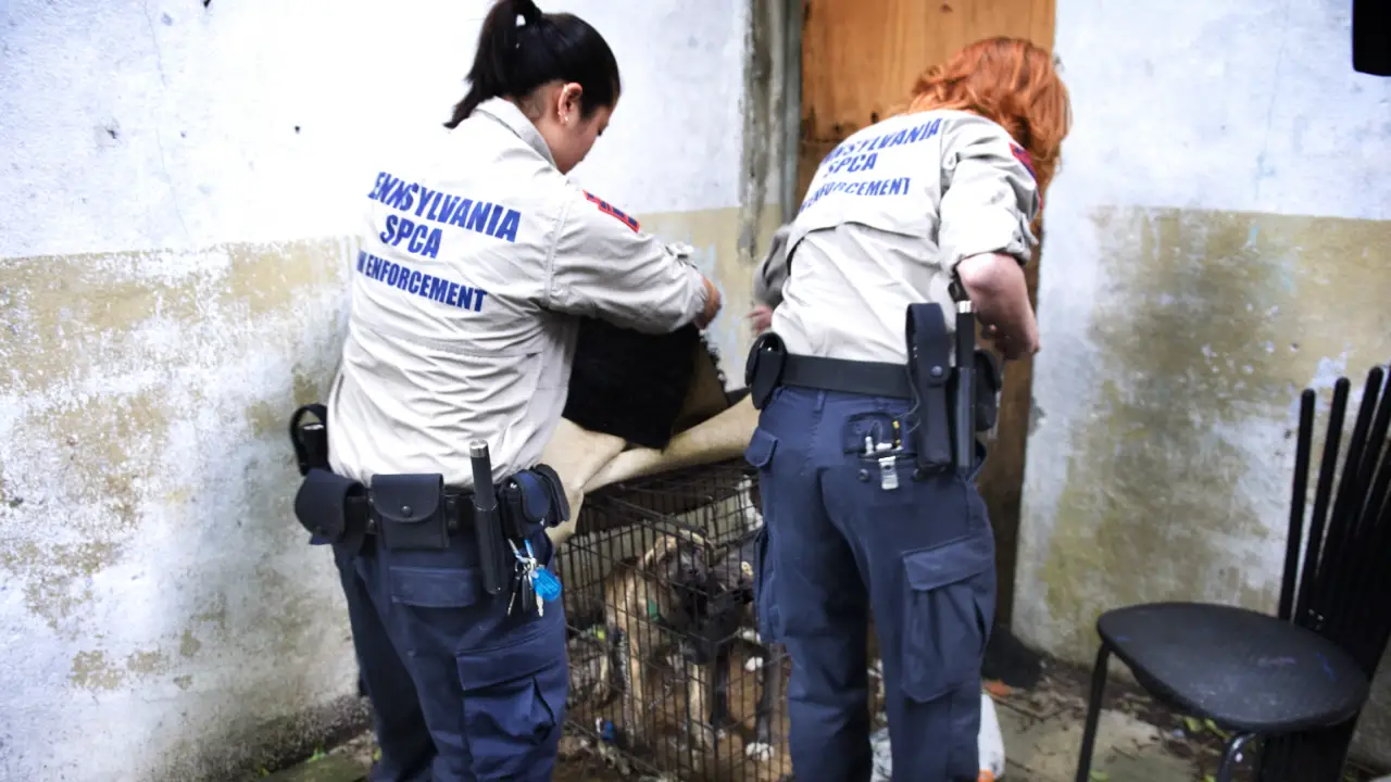Animal Planet - Animal Cops Philadelphia