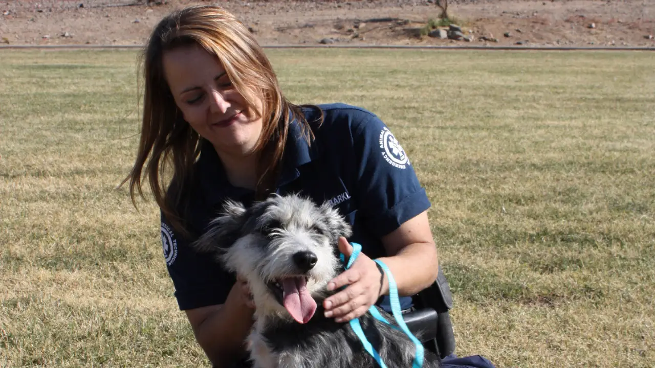 Animal Planet - Animal Cops Phoenix