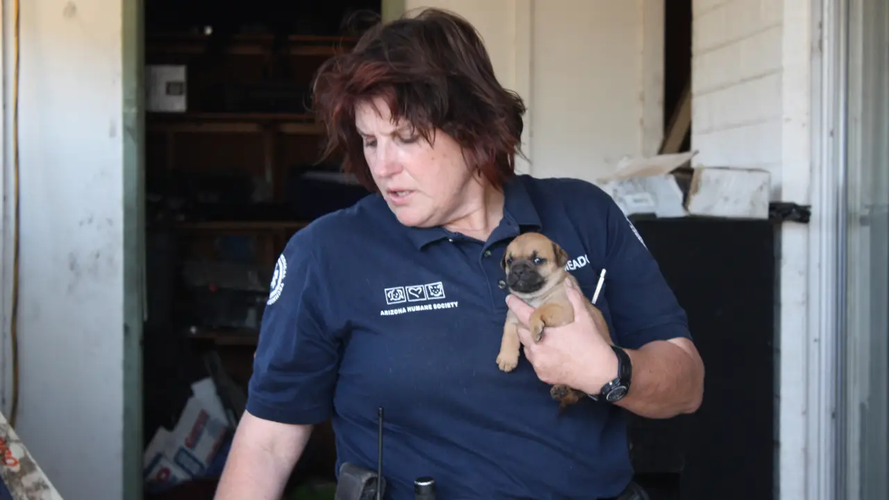 Animal Planet - Animal Cops Phoenix
