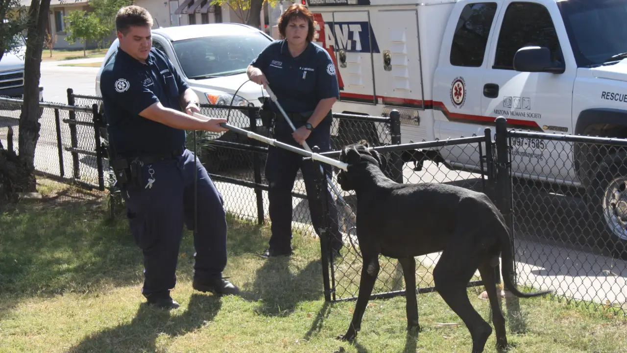 Animal Planet - Animal Cops Phoenix