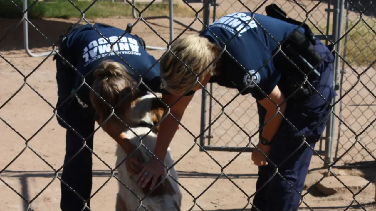 Animal Planet - Animal Cops Phoenix