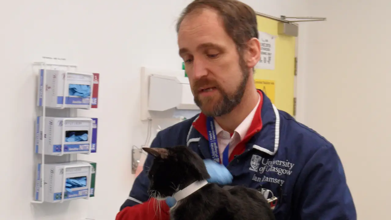 Animal Planet - Animal ER
