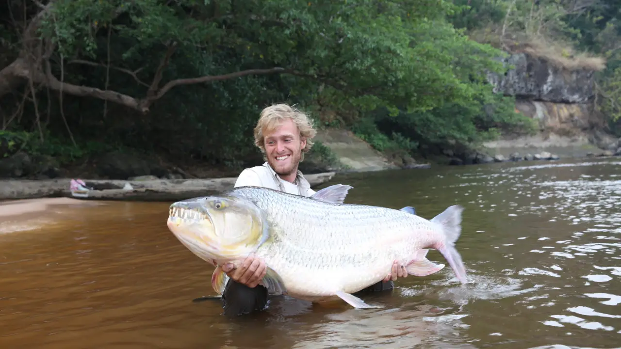 Animal Planet - Big Fish Man