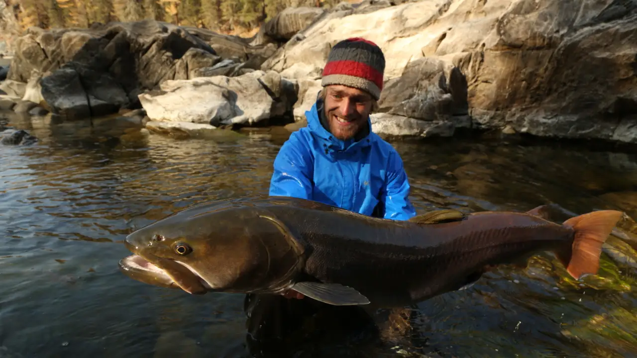 Big Fish Man