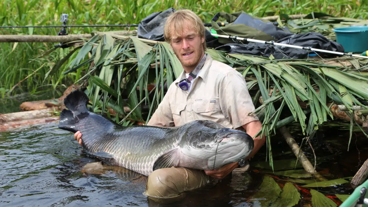 Animal Planet - Big Fish Man