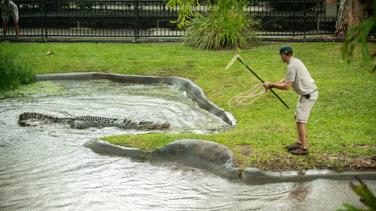 Animal Planet - Crikey! It's the Irwins
