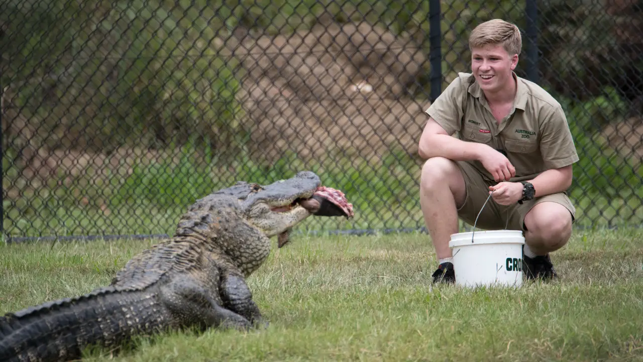 Animal Planet - Crikey! It's the Irwins