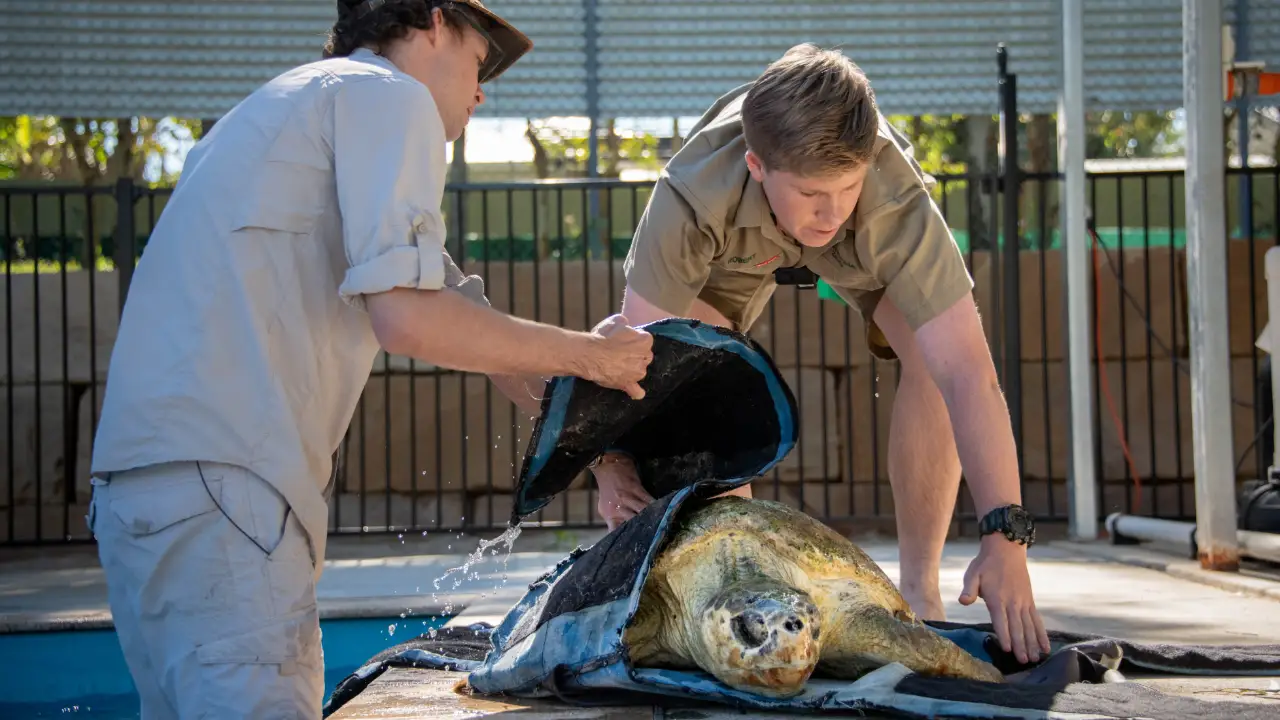 Animal Planet - Crikey! It's the Irwins
