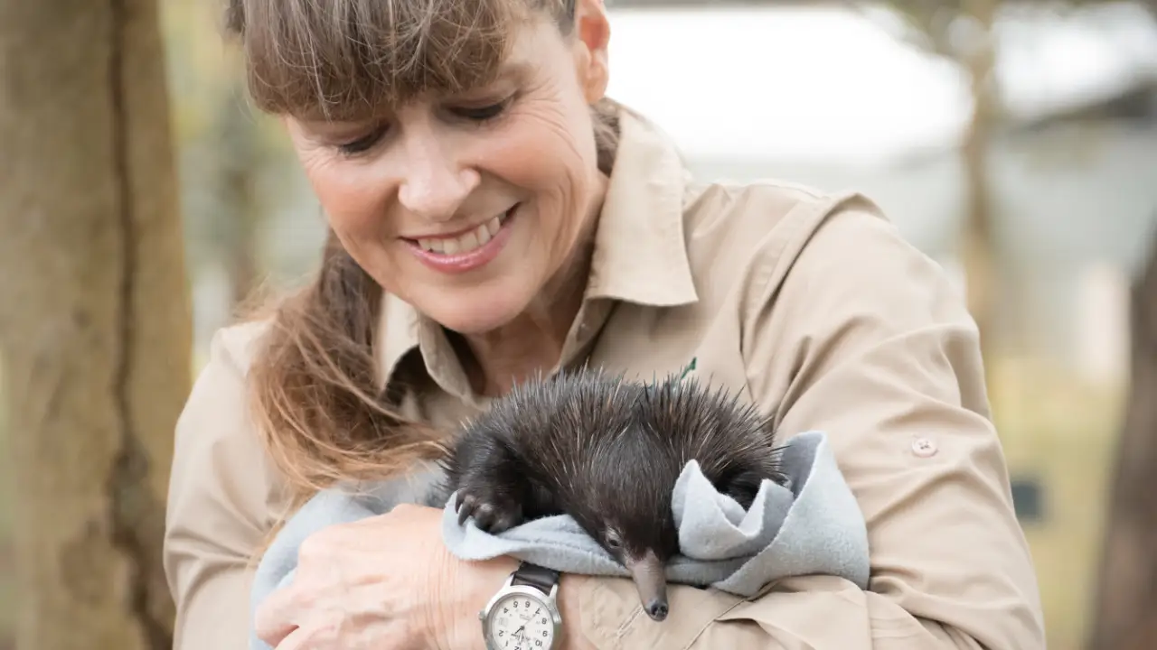 Animal Planet - Crikey! It's the Irwins