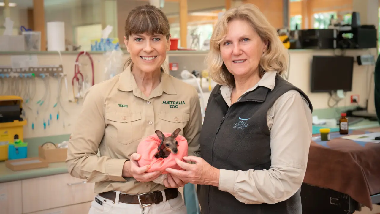 Animal Planet - Crikey! It's the Irwins