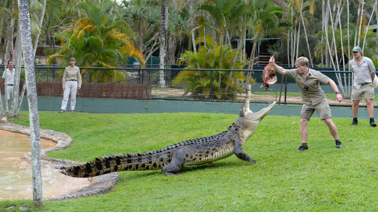 Animal Planet - Crikey! It's the Irwins