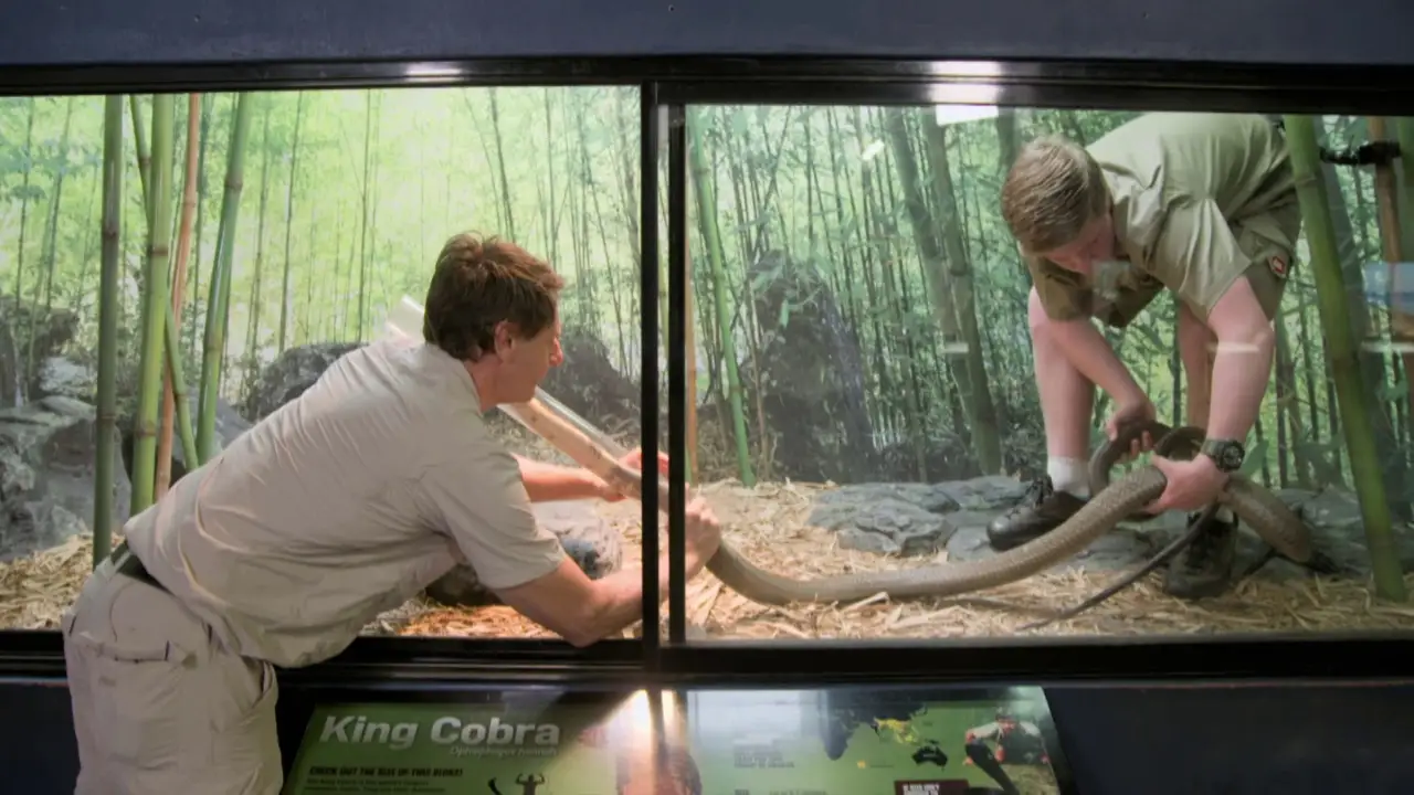 Animal Planet - Crikey! It's the Irwins