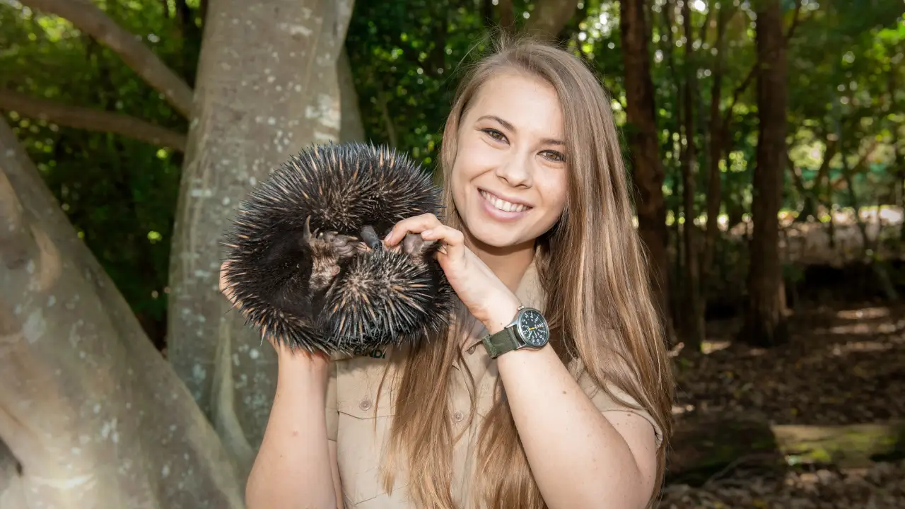 Crikey! It's the Irwins