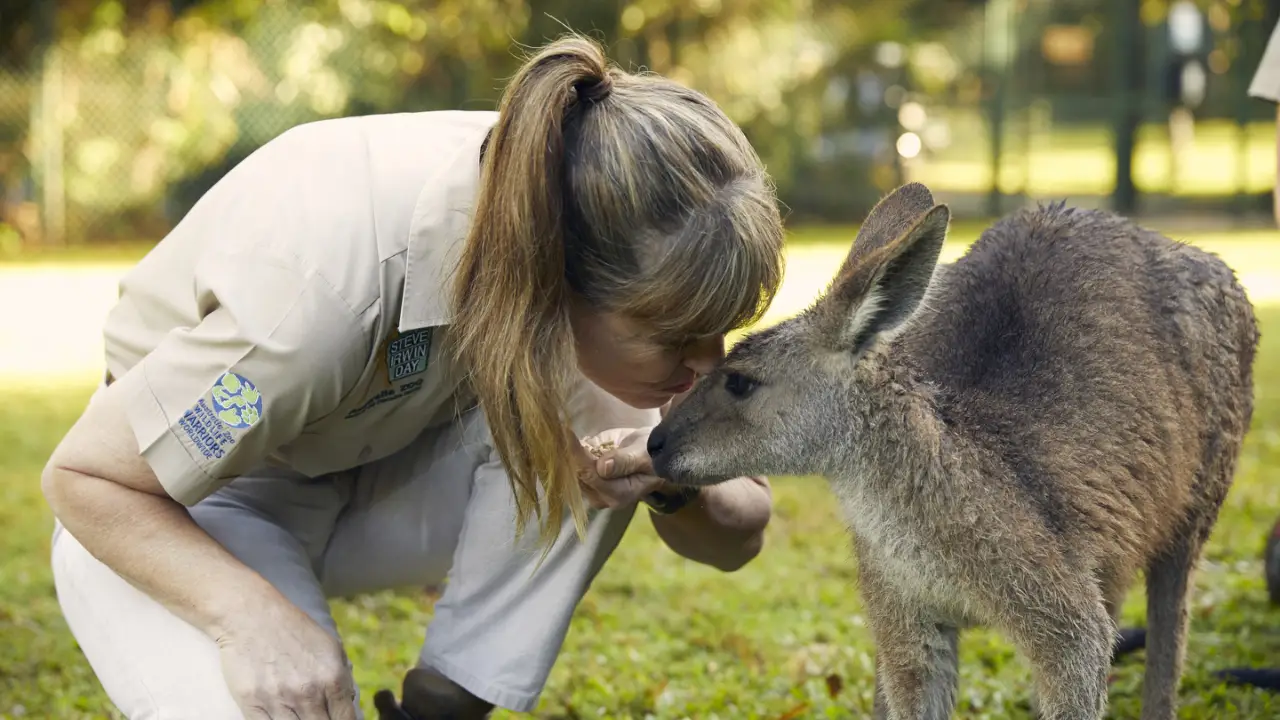 Animal Planet - Crikey! It's the Irwins