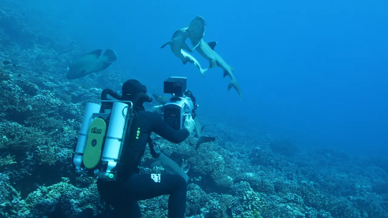 Animal Planet - Deadly Islands