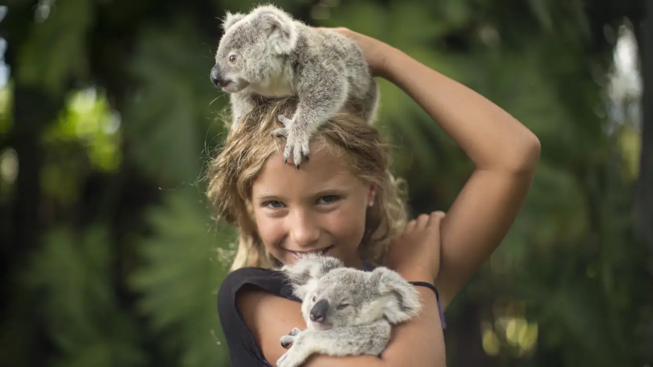 Animal Planet - Dodo Heroes