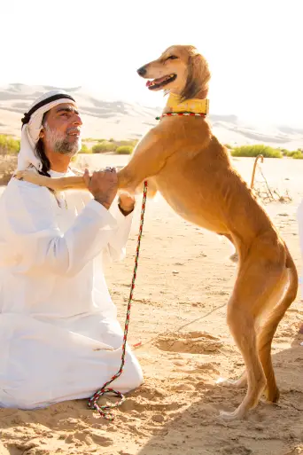 Bild från filmen Dogs: The Untold Story