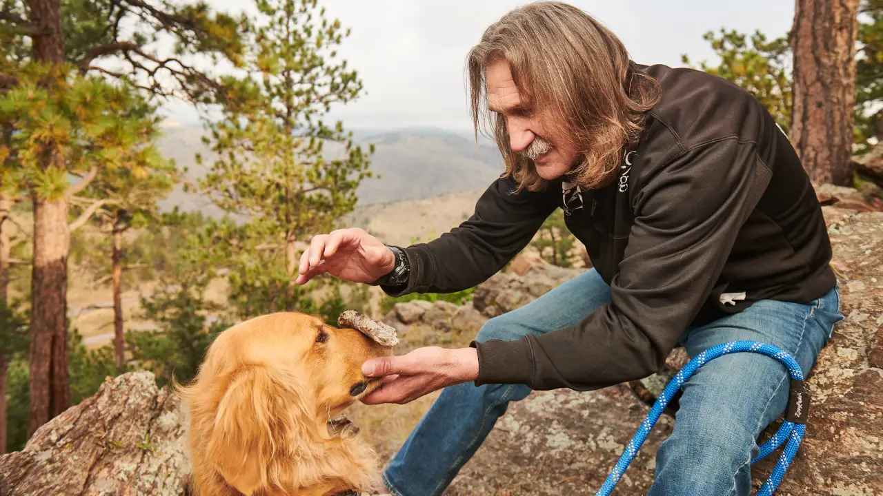 Dr. Jeff: Rocky Mountain Vet