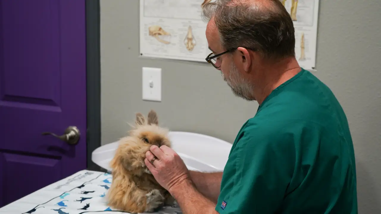 Dr. Jeff: Rocky Mountain Vet