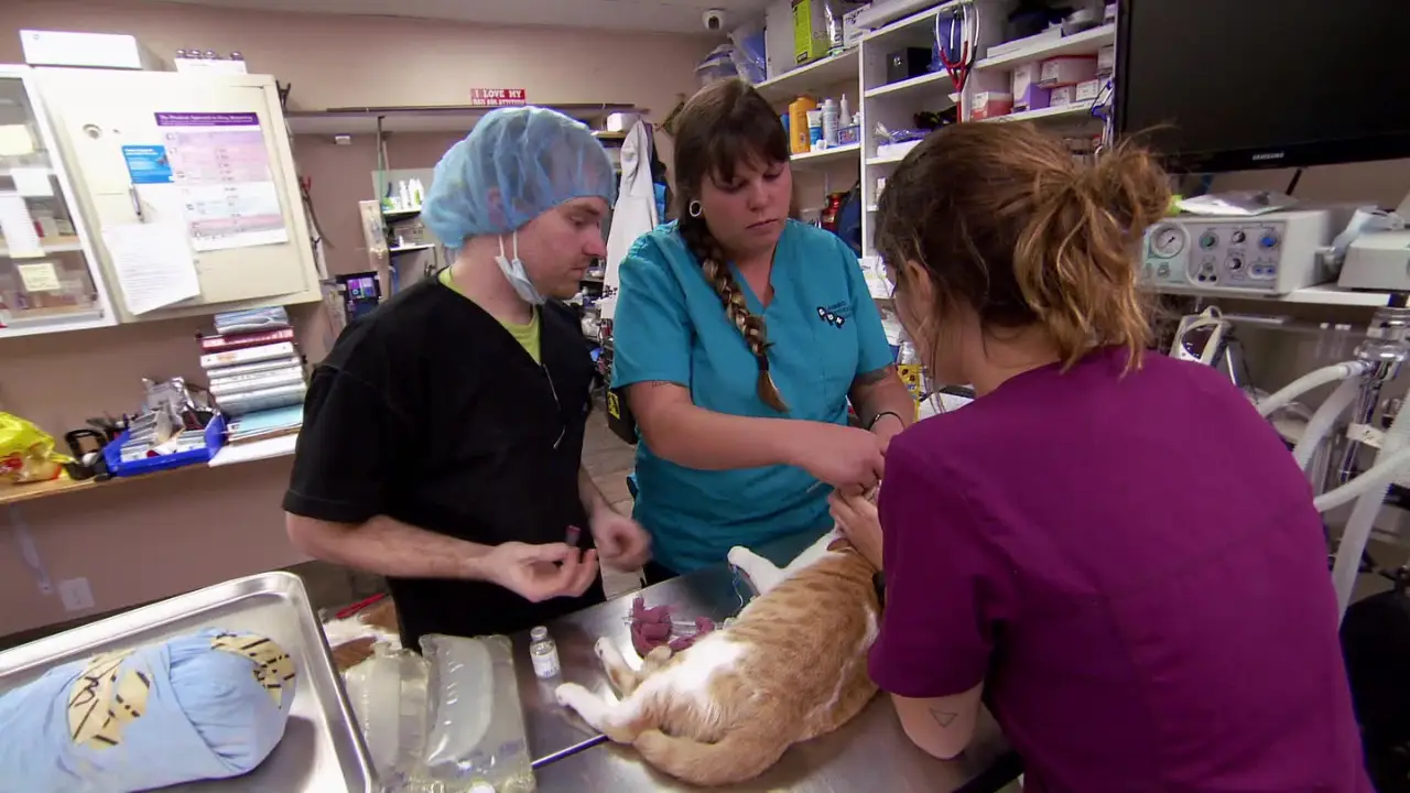 Animal Planet - Dr. Jeff: Rocky Mountain Vet