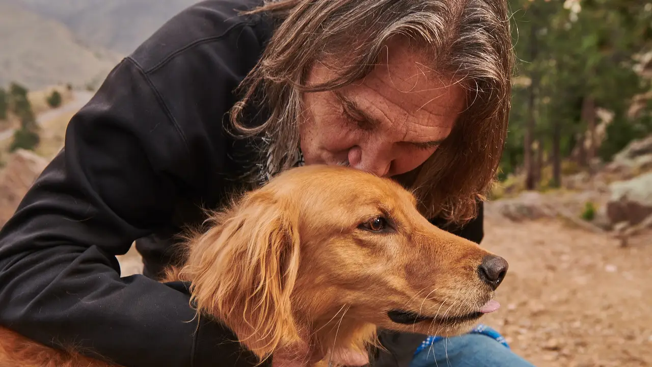 Animal Planet - Dr. Jeff: Rocky Mountain Vet